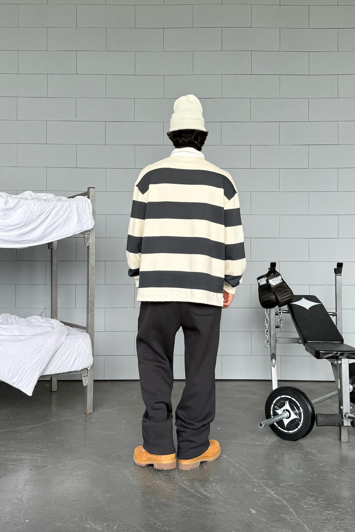 Striped Polo Collar Long Sleeve T-Shirt