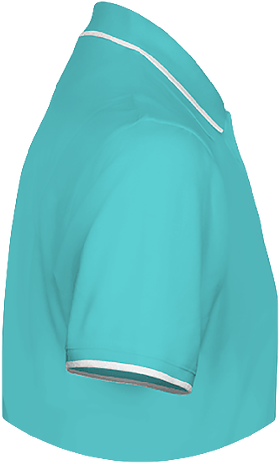 BMW Polo Shirt Men border neck