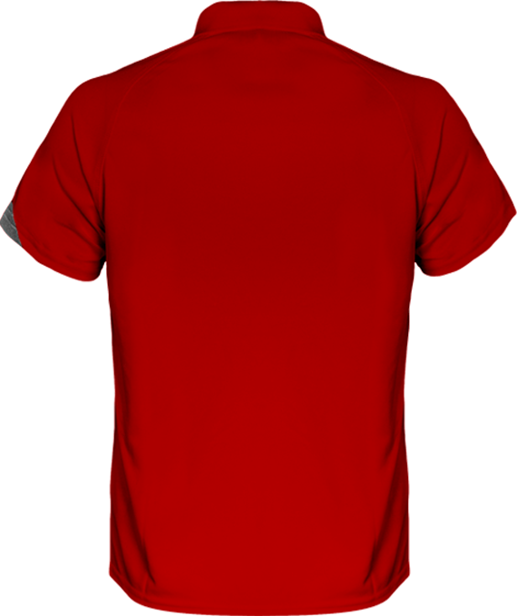 BMW Polo Shirt Sport three-colour Men