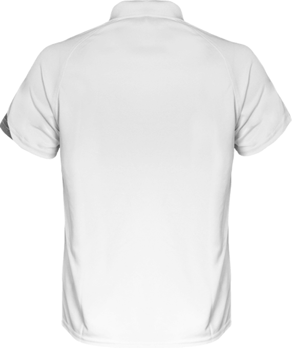 BMW Polo Shirt Sport three-colour Men