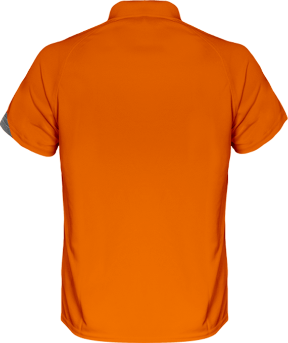 BMW Polo Shirt Sport three-colour Men