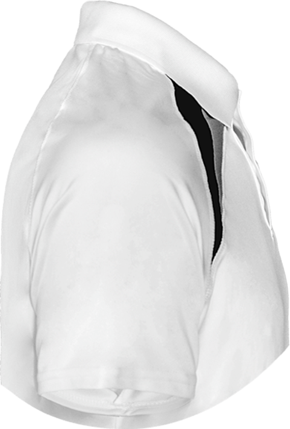 BMW Polo Shirt Sport three-colour Men