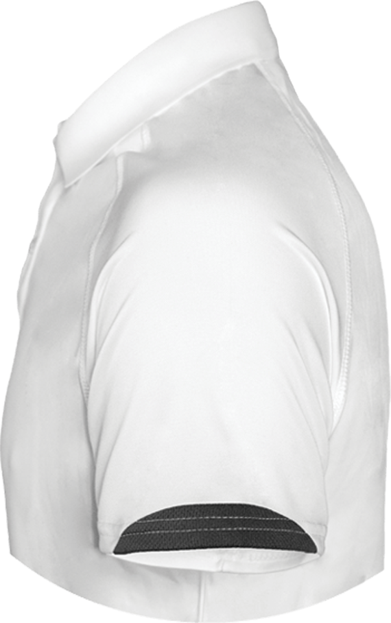 BMW Polo Shirt Sport three-colour Men