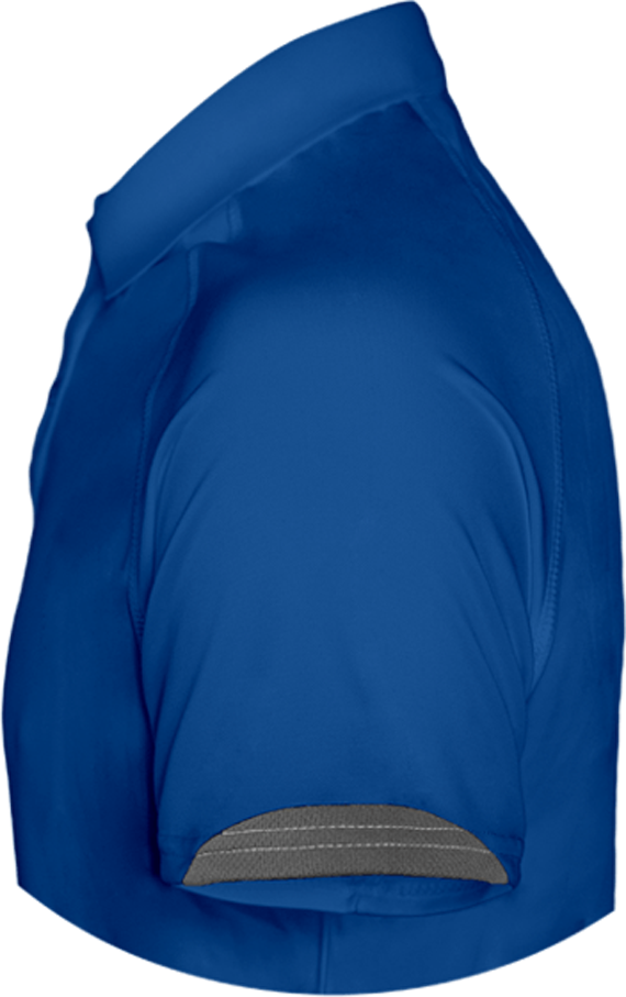 BMW Polo Shirt Sport three-colour Men