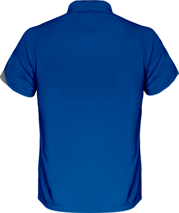 BMW Polo Shirt Sport three-colour Men